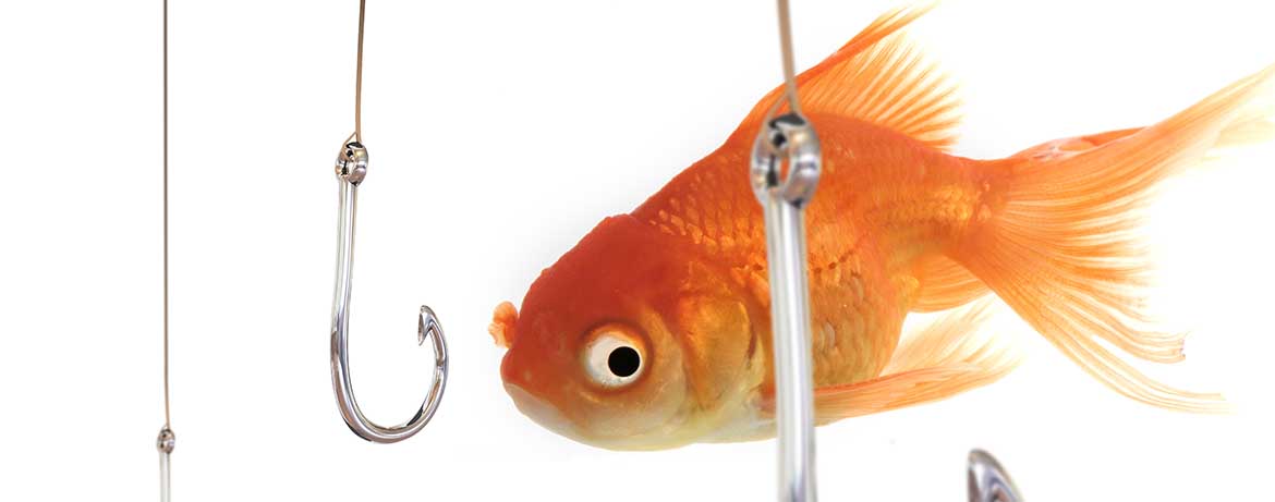 Don't Bite the Hook - The Sundheim Group